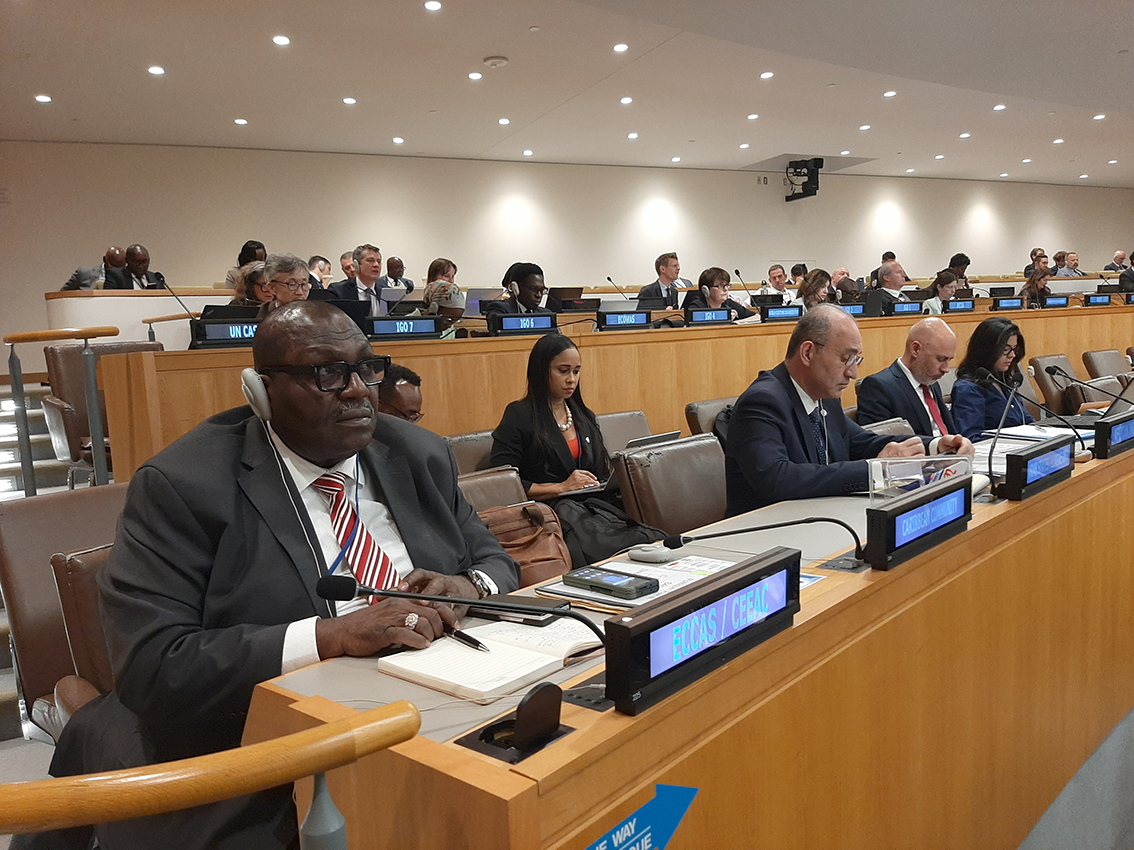 La CEEAC réaffirme son engagement contre le commerce illicite des armes légères en Afrique centrale — 1