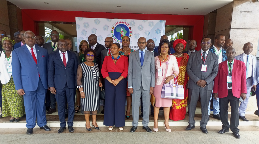 ECCAS: Reflection on the implementation texts of the revised Treaty of ECCAS — 3