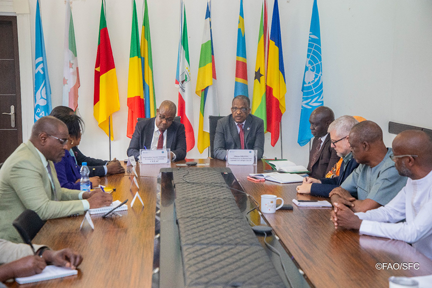 La CEEAC et la FAO réaffirment leur engagement à renforcer leur partenariat stratégique en Afrique centrale