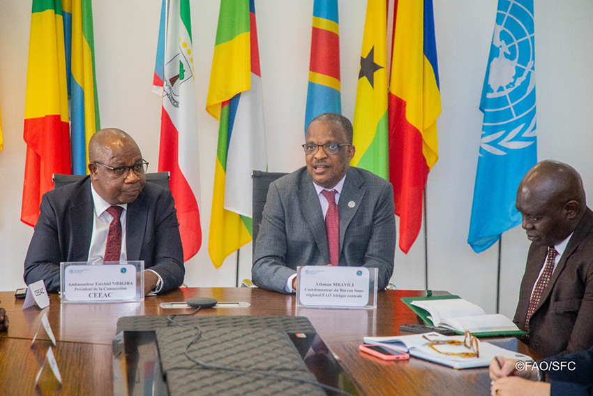 La CEEAC et la FAO réaffirment leur engagement à renforcer leur partenariat stratégique en Afrique centrale