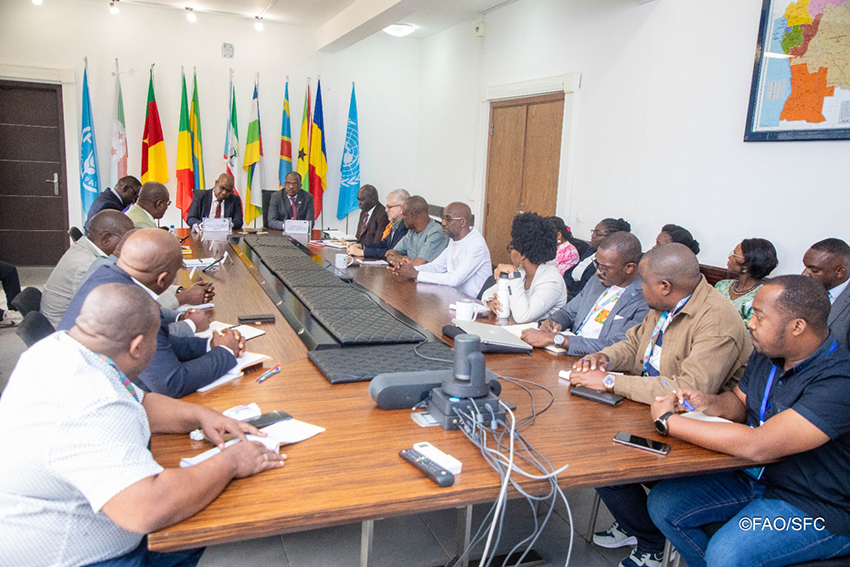 La CEEAC et la FAO réaffirment leur engagement à renforcer leur partenariat stratégique en Afrique centrale