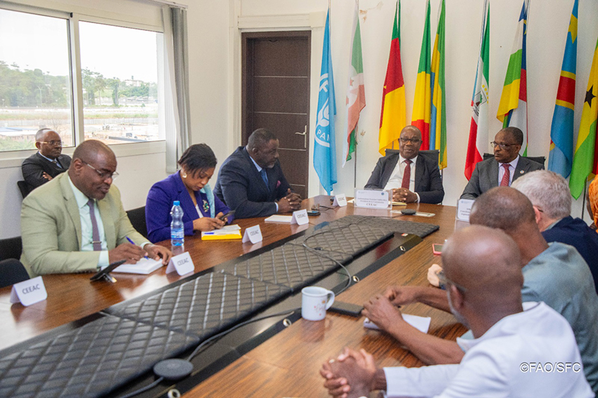 La CEEAC et la FAO réaffirment leur engagement à renforcer leur partenariat stratégique en Afrique centrale