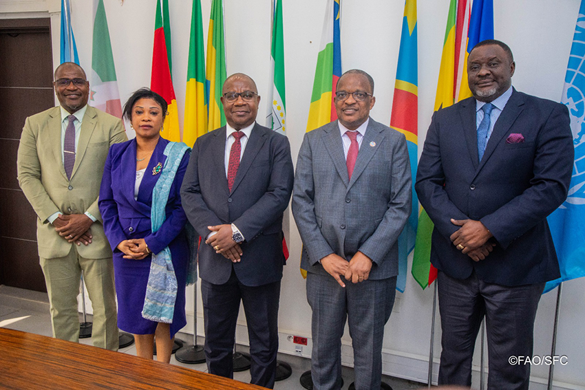 La CEEAC et la FAO réaffirment leur engagement à renforcer leur partenariat stratégique en Afrique centrale