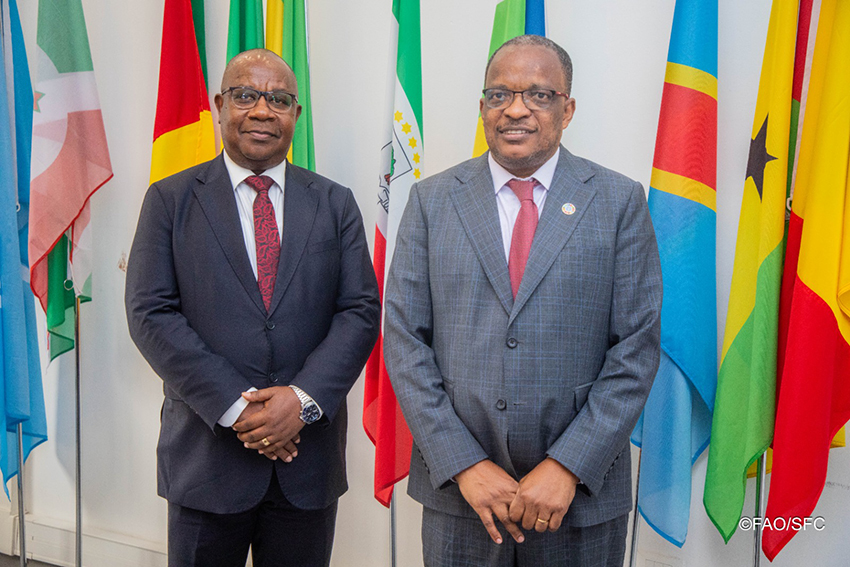 La CEEAC et la FAO réaffirment leur engagement à renforcer leur partenariat stratégique en Afrique centrale