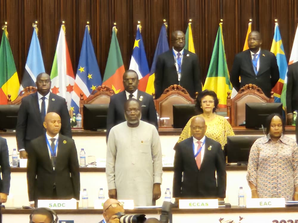 Participation de la CEEAC au 7ème Sommet de coordination de l’Union africaine. — 2