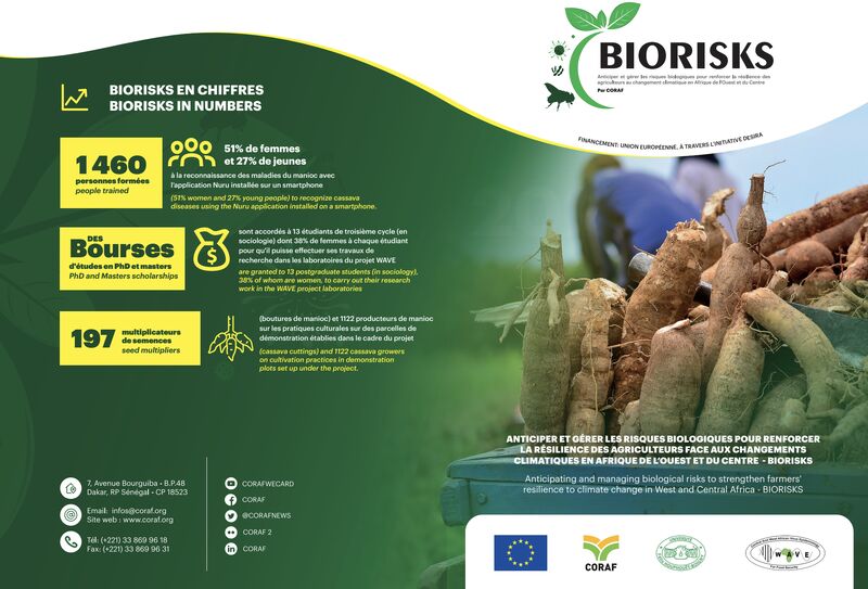 Participation de la Commission de la CEEAC à l’atelier technique de réflexion sur les bioagresseurs des plantes en Afrique de l’Ouest et du Centre — 3
