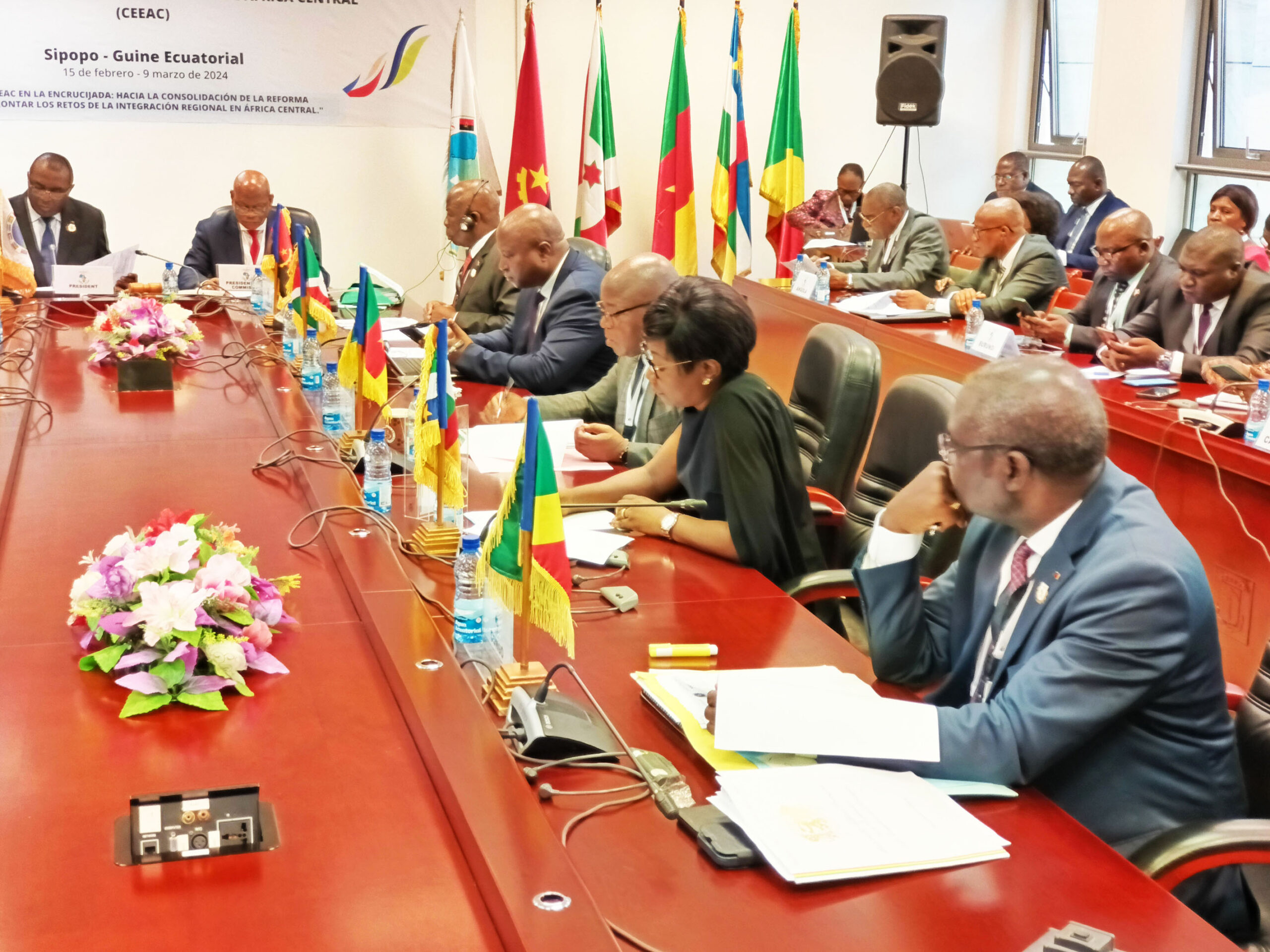 RAPPORT DU CONSEIL DES MINISTRES DE LA CEEAC — 5