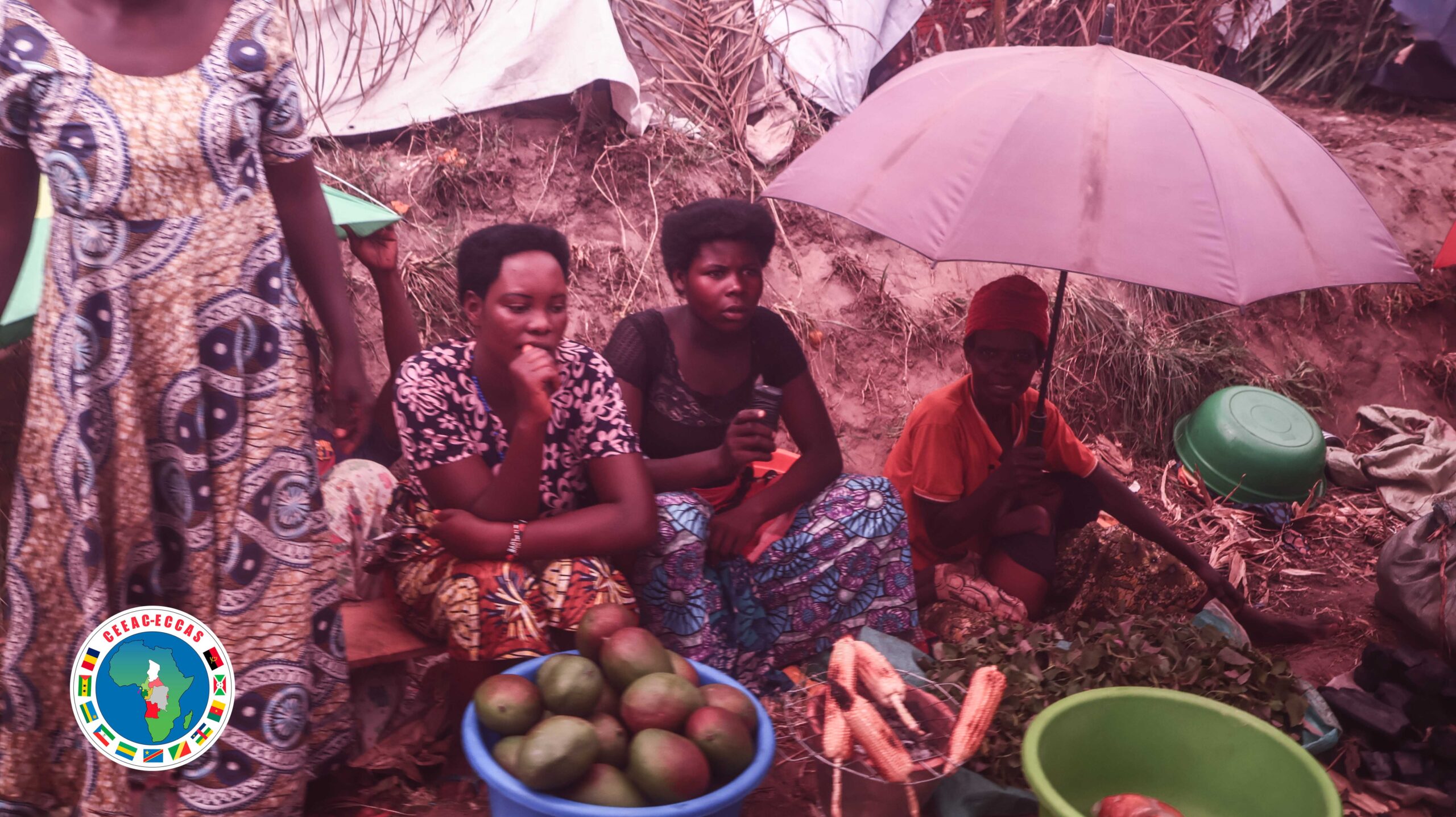 Réfugiés congolais au Burundi : alerte humanitaire maximale — 5