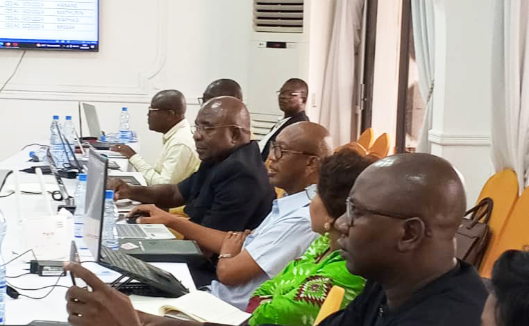 Renforcement des capacités des fonctionnaires et agents de la CEEAC — 4