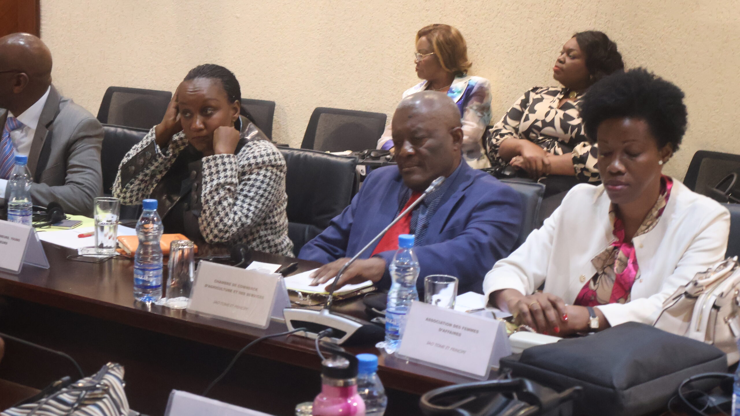 Réunion de concertation entre la Commission de la CEEAC et le Secteur privé — 11