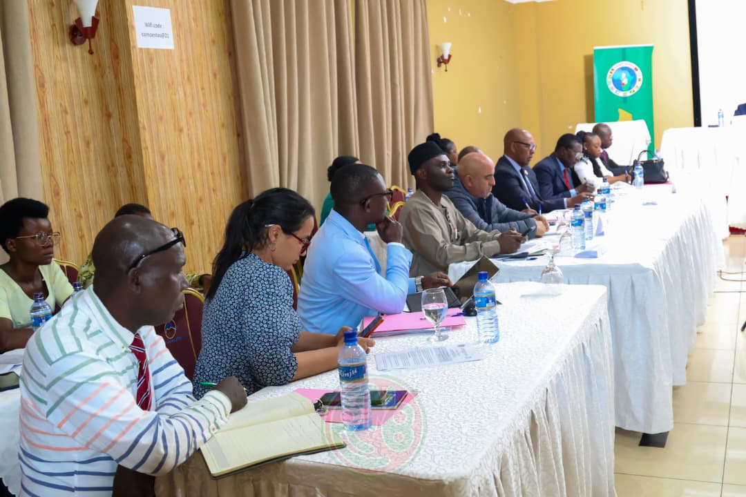 Réunion stratégique sur la mise en œuvre d’APSA IV et de l’Architecture de la Gouvernance Africaine — 3