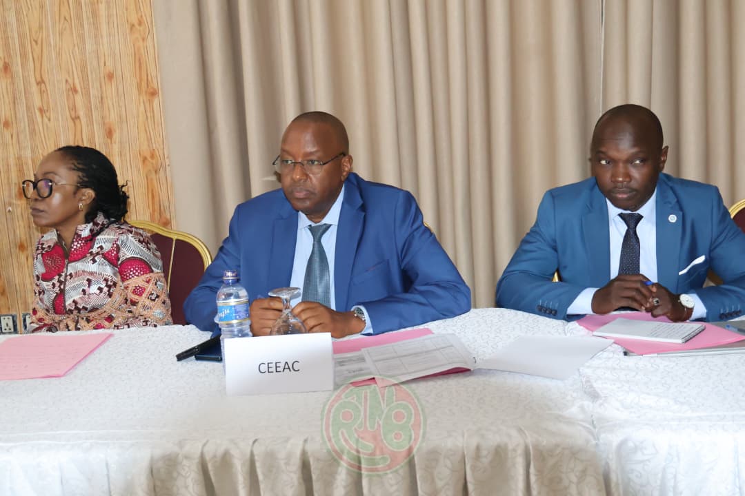 Réunion stratégique sur la mise en œuvre d’APSA IV et de l’Architecture de la Gouvernance Africaine — 5