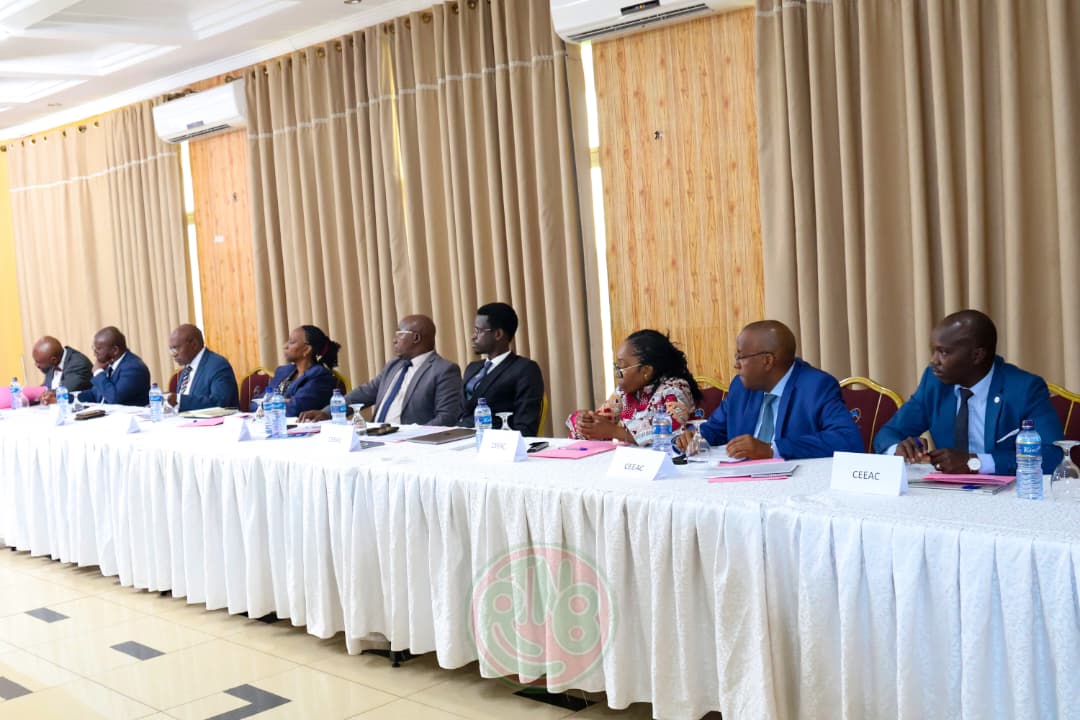 Réunion stratégique sur la mise en œuvre d’APSA IV et de l’Architecture de la Gouvernance Africaine — 6