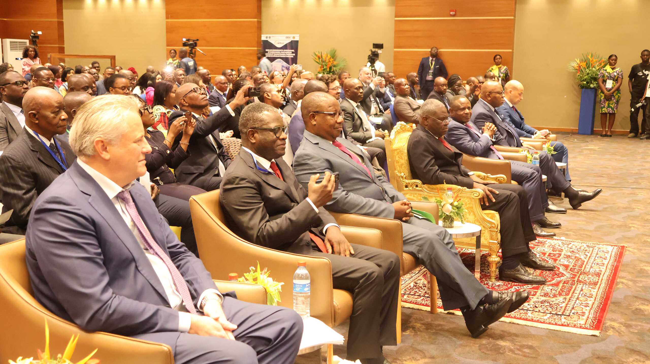 Réunion du Comité de Pilotage du Réseau pour Recherche sur la Transition Énergétique en Afrique Centrale — 5