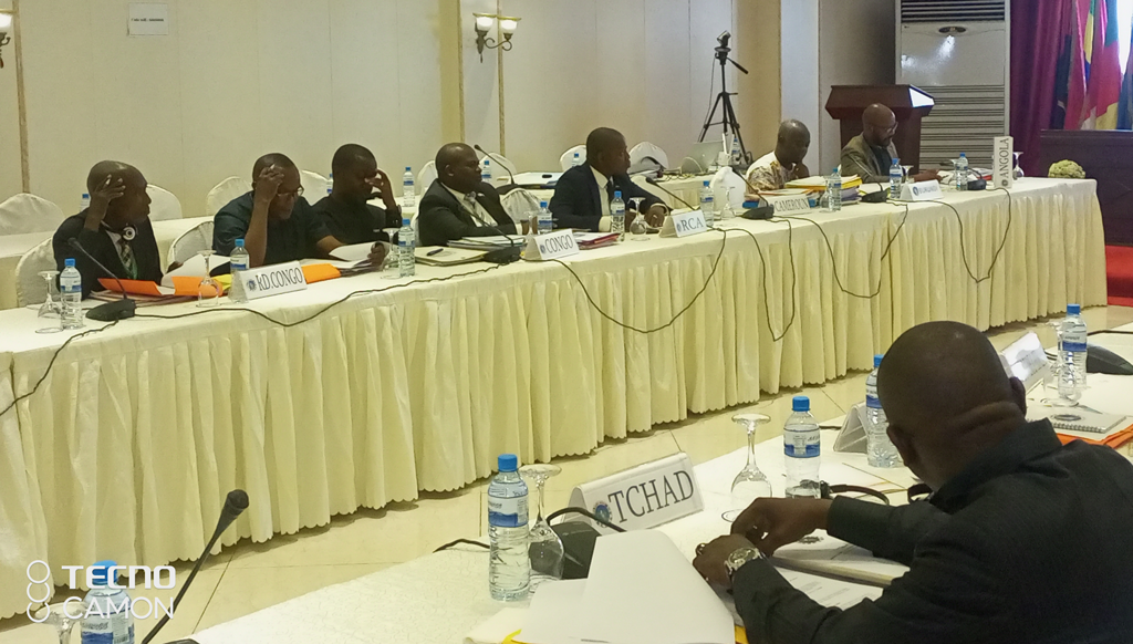 the Regional Technical Workshop for reflection on the implementing texts of the revised ECCAS Treaty — 2