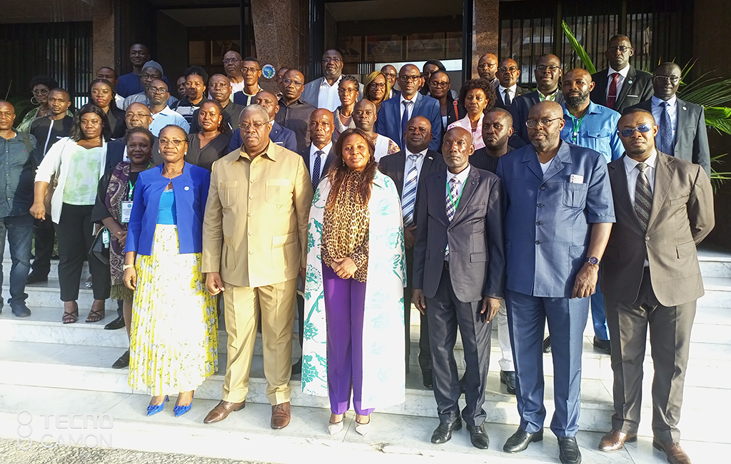 the Regional Technical Workshop for reflection on the implementing texts of the revised ECCAS Treaty — 3