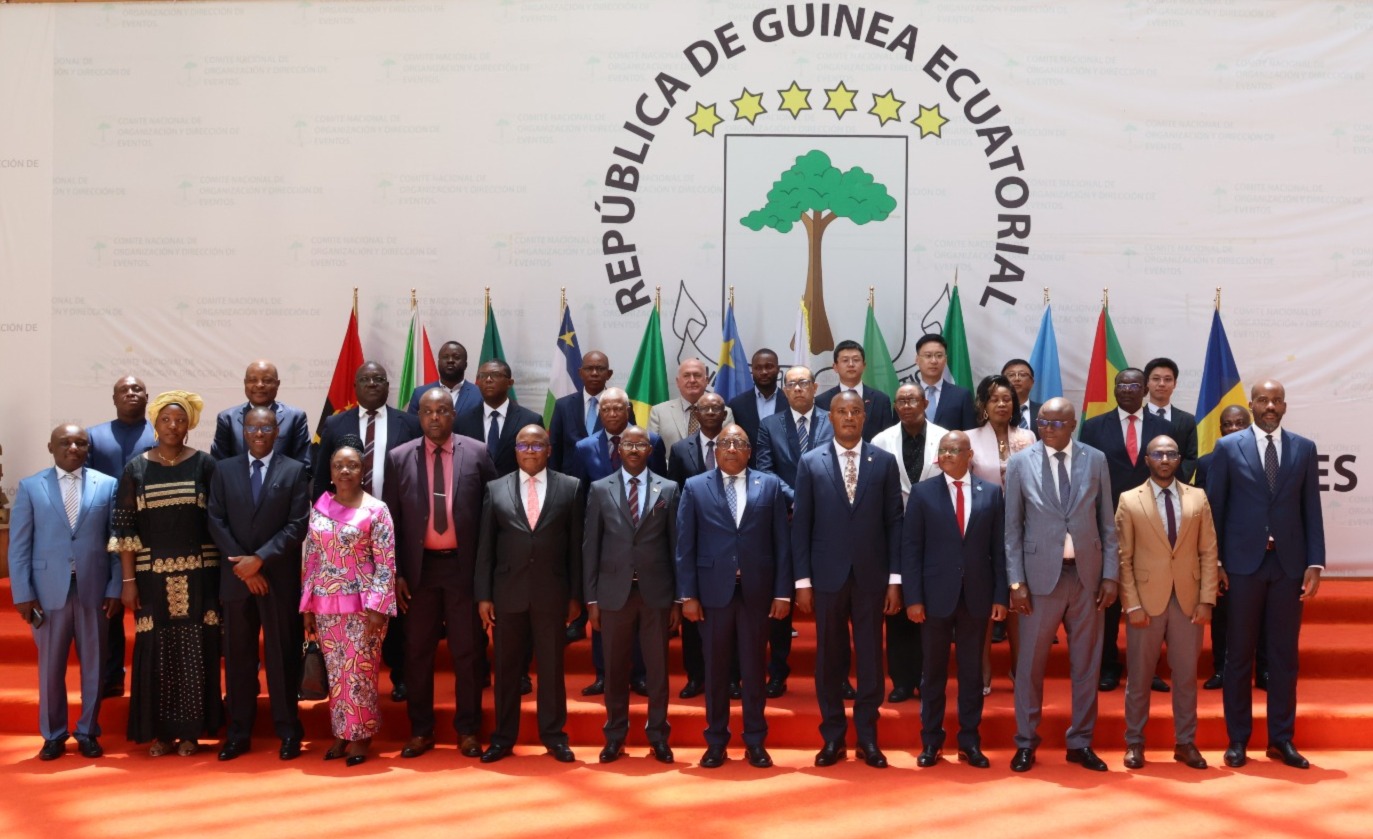 Vers la redynamisation des acteurs du marché d’électricité en Afrique centrale — 1