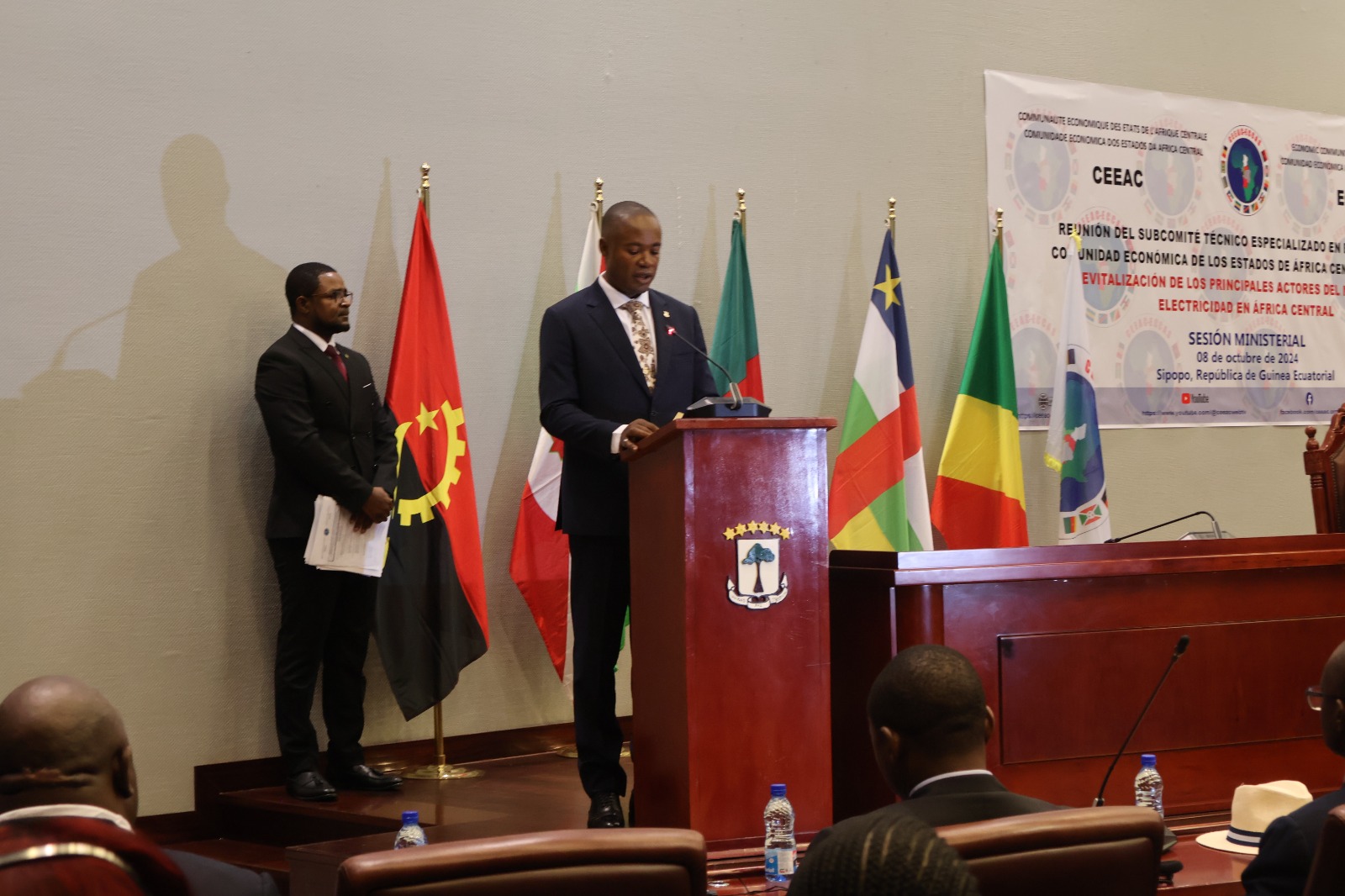 Vers la redynamisation des acteurs du marché d’électricité en Afrique centrale — 2