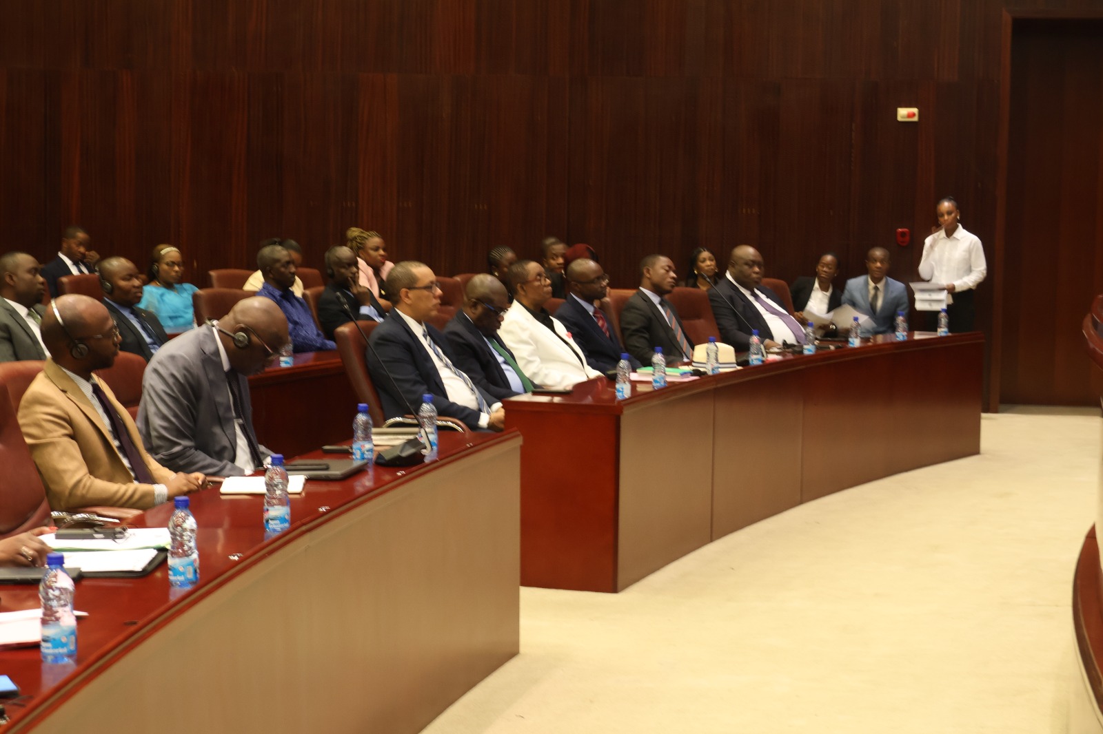 Vers la redynamisation des acteurs du marché d’électricité en Afrique centrale — 6
