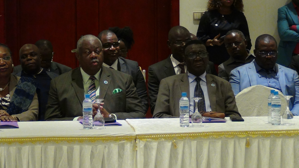 What kind of customs union and economic industrialization plan for Central Africa? — 3