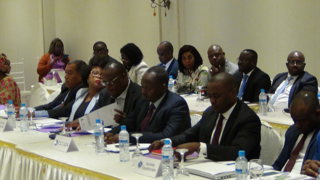 What kind of customs union and economic industrialization plan for Central Africa? — 4